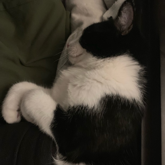 Meet your Posher, Emily! - Picture 5 of 8